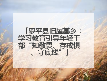 罗平县旧屋基乡：学习教育引导年轻干部“知敬畏、存戒惧、守底线”