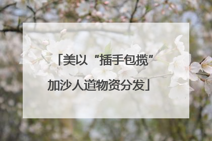 美以“插手包揽”加沙人道物资分发