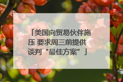 美国向贸易伙伴施压 要求周三前提供谈判“最佳方案”