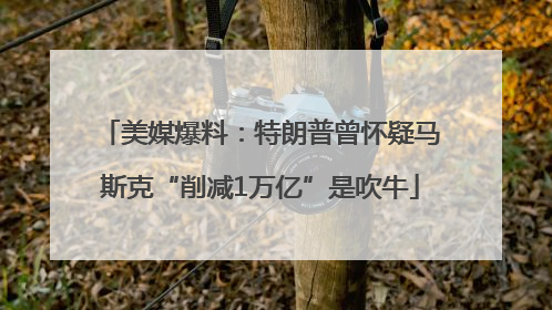 美媒爆料：特朗普曾怀疑马斯克“削减1万亿”是吹牛