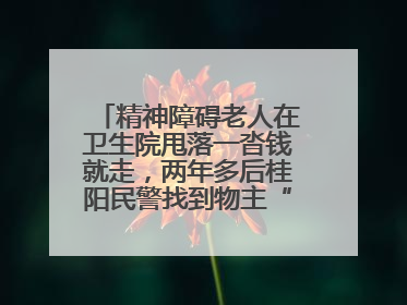 精神障碍老人在卫生院甩落一沓钱就走，两年多后桂阳民警找到物主“完璧归赵”