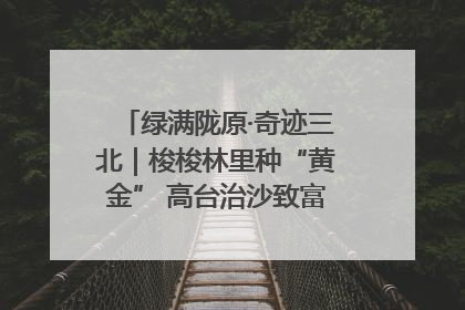 绿满陇原·奇迹三北｜梭梭林里种“黄金” 高台治沙致富很“从容”
