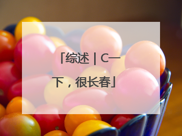 综述｜C一下，很长春