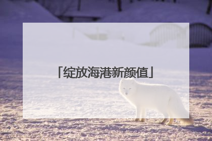 绽放海港新颜值