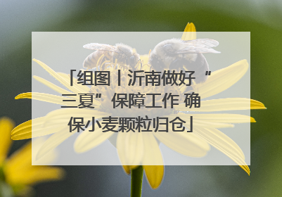 组图丨沂南做好“三夏”保障工作 确保小麦颗粒归仓