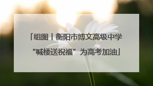 组图丨衡阳市博文高级中学“喊楼送祝福”为高考加油