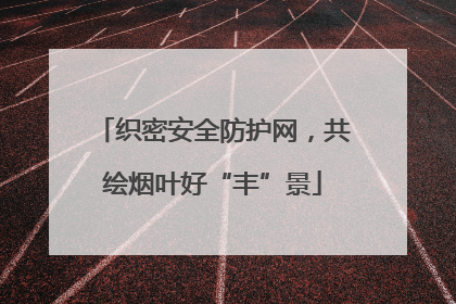 织密安全防护网，共绘烟叶好“丰”景