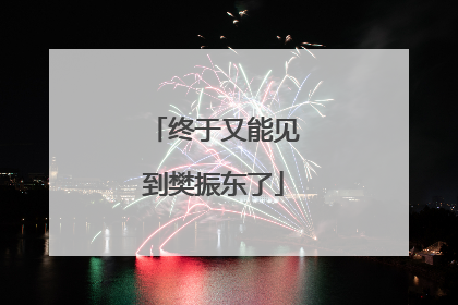 终于又能见到樊振东了