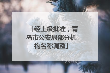 经上级批准，青岛市公安局部分机构名称调整