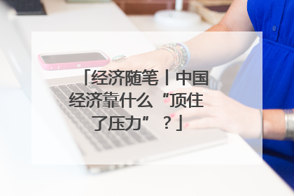 经济随笔丨中国经济靠什么“顶住了压力”？