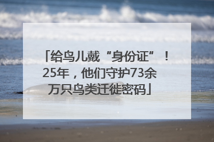 给鸟儿戴“身份证”！25年，他们守护73余万只鸟类迁徙密码