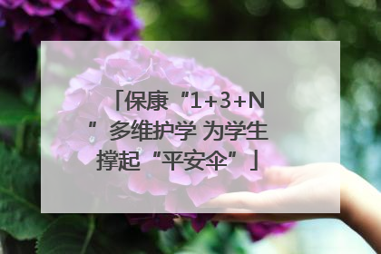 保康“1+3+N”多维护学 为学生撑起“平安伞”
