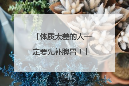 体质太差的人一定要先补脾胃！