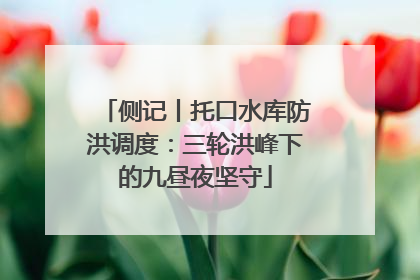 侧记丨托口水库防洪调度：三轮洪峰下的九昼夜坚守