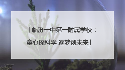 临汾一中第一附属学校：童心探科学 逐梦创未来