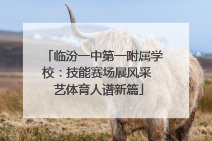 临汾一中第一附属学校：技能赛场展风采 艺体育人谱新篇