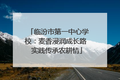 临汾市第一中心学校：麦香浸润成长路 实践传承农耕情