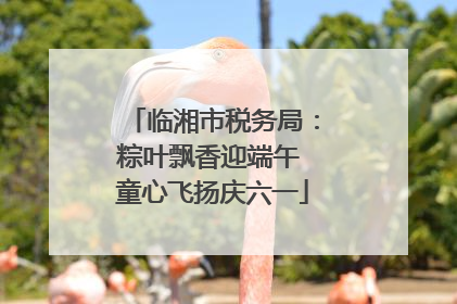 临湘市税务局：粽叶飘香迎端午 童心飞扬庆六一