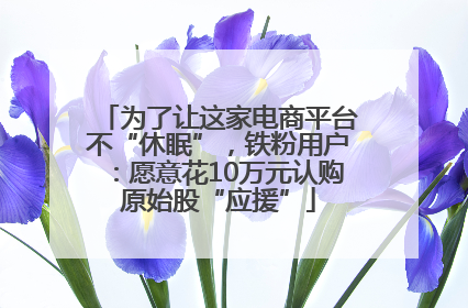 为了让这家电商平台不“休眠”，铁粉用户：愿意花10万元认购原始股“应援”