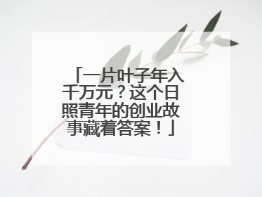 一片叶子年入千万元？这个日照青年的创业故事藏着答案！