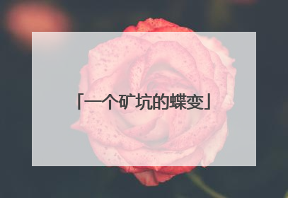 一个矿坑的蝶变