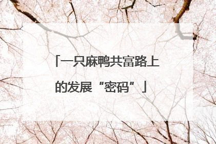 一只麻鸭共富路上的发展“密码”