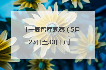 一周智库观察（5月23日至30日）