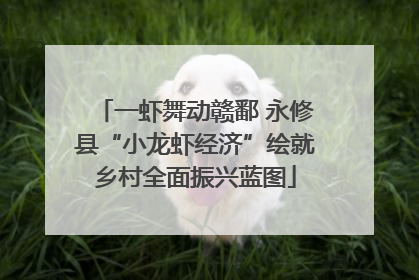 一虾舞动赣鄱 永修县“小龙虾经济”绘就乡村全面振兴蓝图