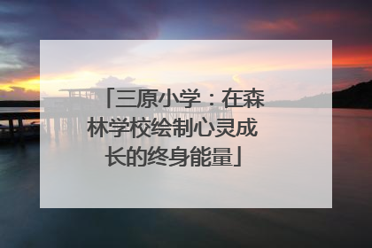 三原小学：在森林学校绘制心灵成长的终身能量