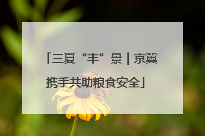 三夏“丰”景｜京冀携手共助粮食安全