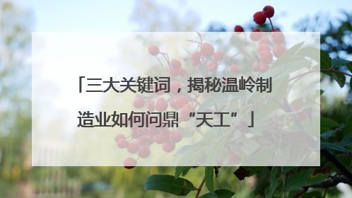 三大关键词，揭秘温岭制造业如何问鼎“天工”