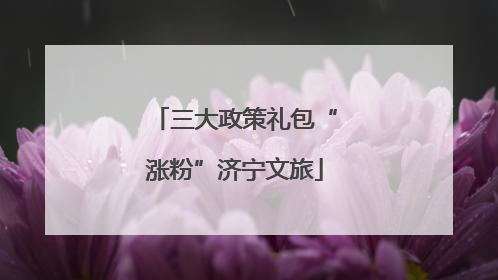 三大政策礼包“涨粉”济宁文旅