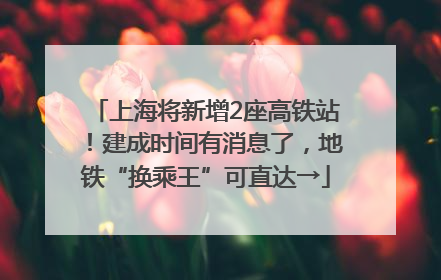 上海将新增2座高铁站！建成时间有消息了，地铁“换乘王”可直达→