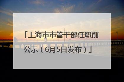 上海市市管干部任职前公示（6月5日发布）