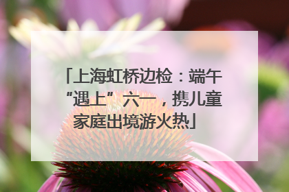 上海虹桥边检：端午“遇上”六一，携儿童家庭出境游火热