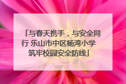 与春天携手，与安全同行 乐山市中区杨湾小学筑牢校园安全防线