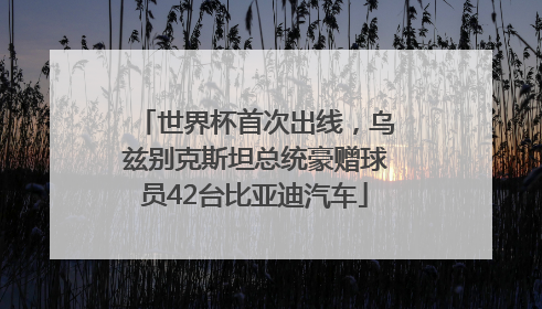 世界杯首次出线，乌兹别克斯坦总统豪赠球员42台比亚迪汽车
