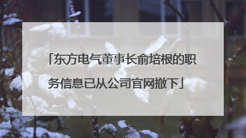 东方电气董事长俞培根的职务信息已从公司官网撤下