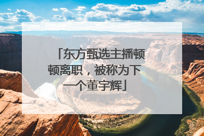 东方甄选主播顿顿离职，被称为下一个董宇辉