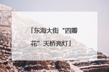 东海大街“四瓣花”天桥亮灯