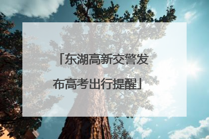 东湖高新交警发布高考出行提醒
