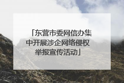 东营市委网信办集中开展涉企网络侵权举报宣传活动