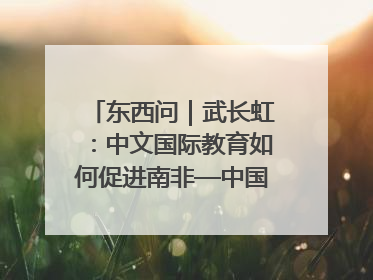 东西问｜武长虹：中文国际教育如何促进南非—中国人文交流？