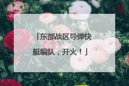 东部战区导弹快艇编队，开火！