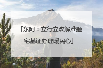 东阿：立行立改解难题 宅基证办理暖民心