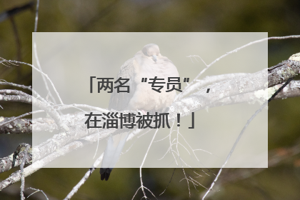 两名“专员”，在淄博被抓！