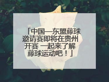 中国—东盟藤球邀请赛即将在贵州开赛 一起来了解藤球运动吧！
