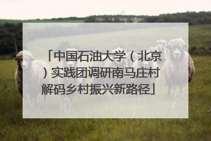 中国石油大学（北京）实践团调研南马庄村解码乡村振兴新路径