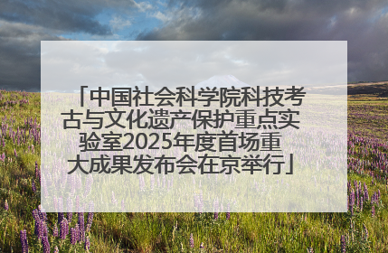 中国社会科学院科技考古与文化遗产保护重点实验室2025年度首场重大成果发布会在京举行