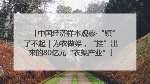 中国经济样本观察·“镇”了不起｜为衣做架，“挂”出来的80亿元“衣架产业”